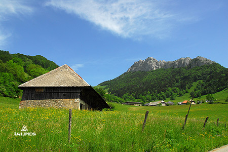 Paysage à Bellecombe-en-Bauges