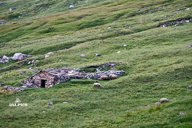 Bergerie Parc de la Vanoise, Savoie